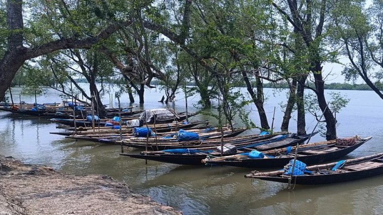 ছবির ক্যাপশন: সুন্দরবনে প্রবেশের অনুমতিপত্র নবায়নে রাজস্বের চেয়ে ৪০ গুণ ঘুষ আদায়