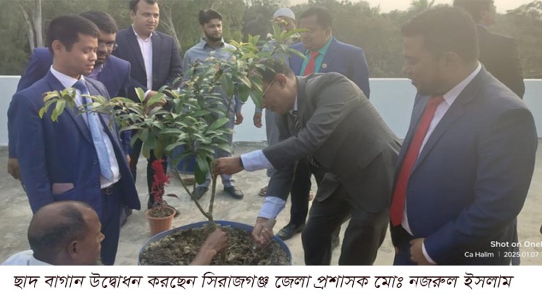 ছবির ক্যাপশন: তাড়াশে ইউএনও সুইচিং মং মারমার দৃষ্টিনন্দন ছাদবাগান বিলকুঞ্জ